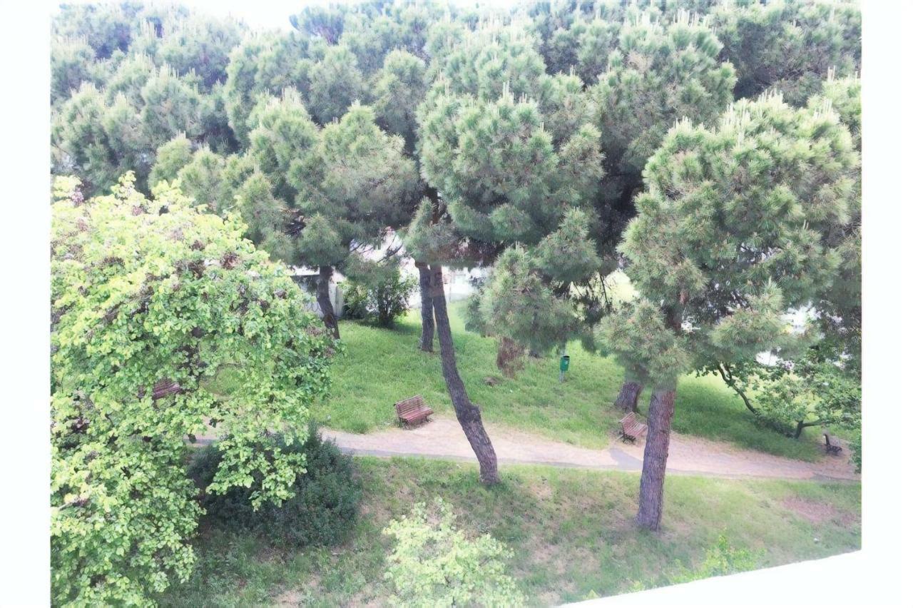 Encarnacao Metro 1 Apartment Lissabon