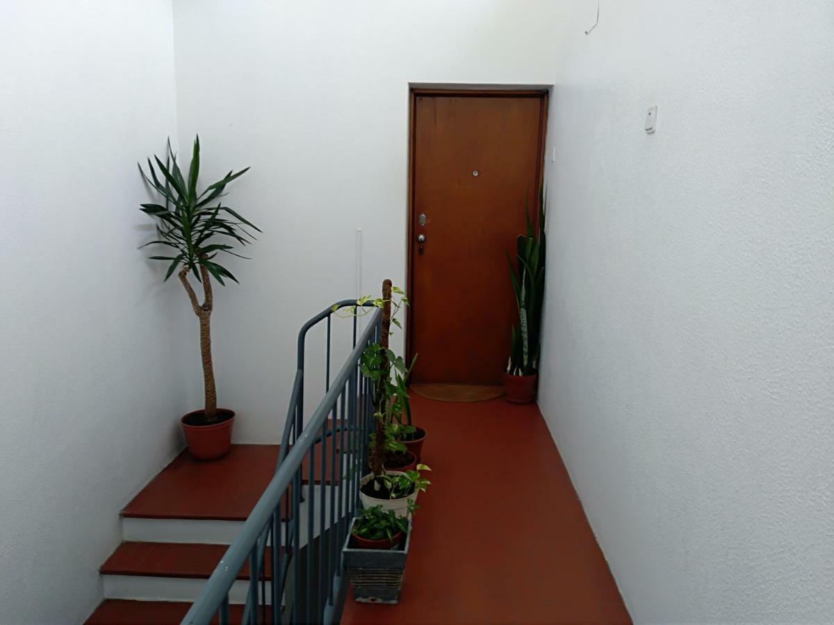 Apartment Encarnacao Metro 1